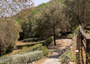 Foto 37 - Casa indipendente Località Albetreto
 
snc, Monte Argentario - foto 37