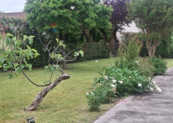 Giardino - Villa via gaeta
 
205, Frosinone - foto 29
