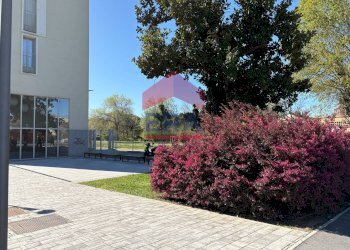 Foto 4 - Trilocale Via Filippo Argelati
 
39, Milano - foto 4