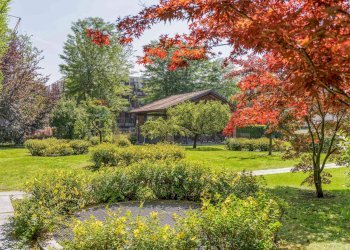 Giardino - Villa Via Cavallotti
 
45, Monza - foto 9