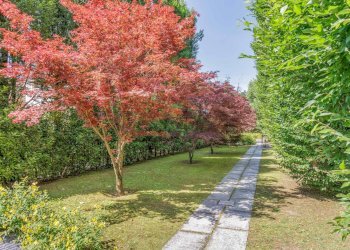 Giardino - Villa Via Cavallotti
 
45, Monza - foto 12