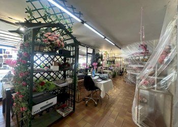 Interno non residenziale - Negozio via Padana Inferiore, Chieri - foto 7