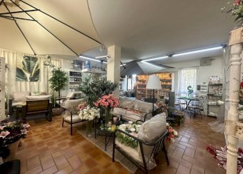 Giardino - Negozio via Padana Inferiore, Chieri - foto 16