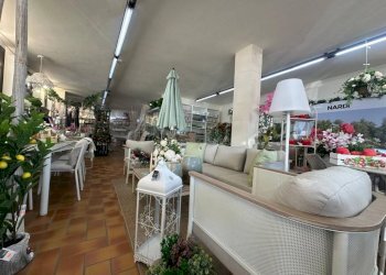 Giardino - Negozio via Padana Inferiore, Chieri - foto 24