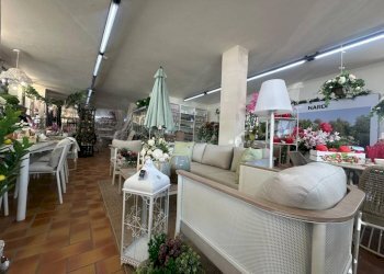 Giardino - Negozio via Padana Inferiore, Chieri - foto 29