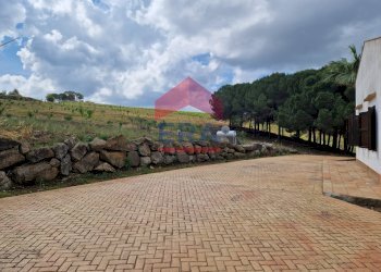 Foto 6 - Rustic C/da Scanza, Castellammare del Golfo - photo 6