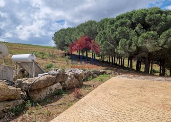 Foto 9 - Rustic C/da Scanza, Castellammare del Golfo - photo 9