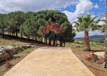 Foto 10 - Rustic C/da Scanza, Castellammare del Golfo - photo 10