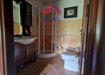 Foto 32 - Rustic C/da Scanza, Castellammare del Golfo - photo 32