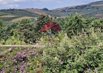 Foto 39 - Rustic C/da Scanza, Castellammare del Golfo - photo 39