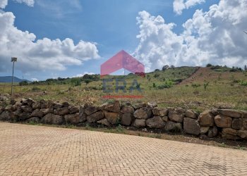 Foto 47 - Rustic C/da Scanza, Castellammare del Golfo - photo 47