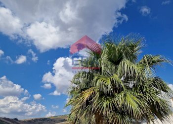 Foto 58 - Rustic C/da Scanza, Castellammare del Golfo - photo 58