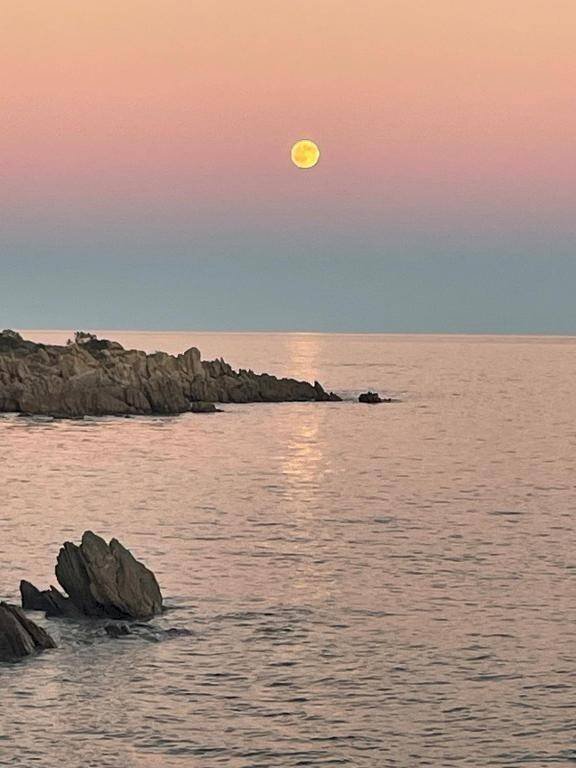 Zona - Villa a Schiera via Nazionale, 125, Budoni - foto 1