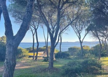 Terreno - Terraced Villa via Nazionale, 125, Budoni - photo 2