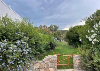 Terreno - Terraced Villa via Nazionale, 125, Budoni - photo 4