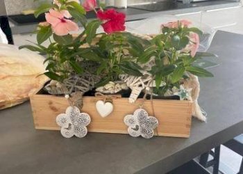 Cucina - Terraced Villa via Nazionale, 125, Budoni - photo 11