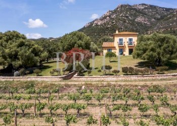 Villa Via della Cantoniera Putzolu, Olbia - foto 6