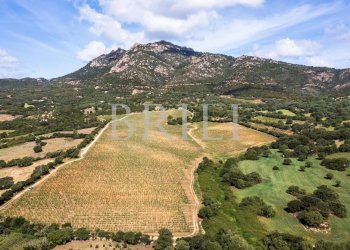 Villa Via della Cantoniera Putzolu, Olbia - foto 8