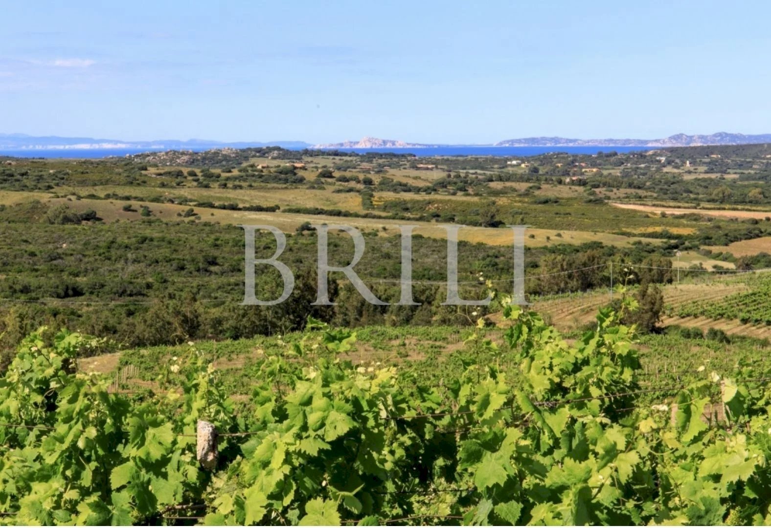 Villa Cala Sarraina, Trinità d'Agultu e Vignola - photo 2