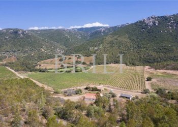 Villa Cala Sarraina, Trinità d'Agultu e Vignola - photo 1