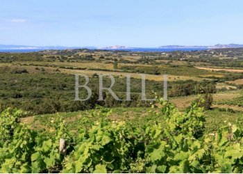 Villa Cala Sarraina, Trinità d'Agultu e Vignola - photo 2