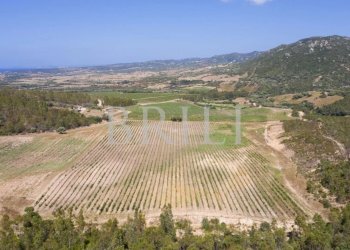 Villa Cala Sarraina, Trinità d'Agultu e Vignola - photo 3