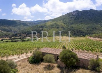 Villa Cala Sarraina, Trinità d'Agultu e Vignola - photo 4