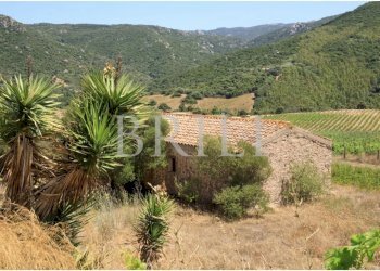 Villa Cala Sarraina, Trinità d'Agultu e Vignola - photo 5