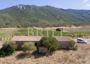 Villa Cala Sarraina, Trinità d'Agultu e Vignola - photo 6