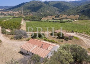 Villa Cala Sarraina, Trinità d'Agultu e Vignola - photo 8