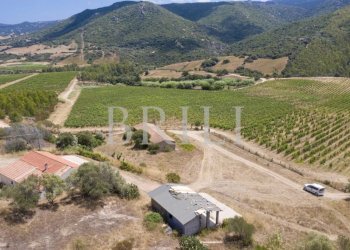 Villa Cala Sarraina, Trinità d'Agultu e Vignola - photo 9