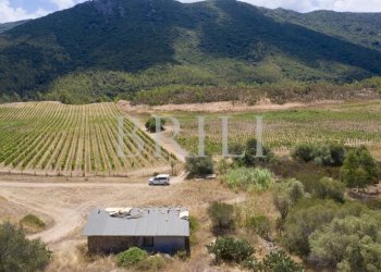 Villa Cala Sarraina, Trinità d'Agultu e Vignola - photo 10