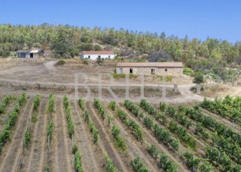 Villa Cala Sarraina, Trinità d'Agultu e Vignola - photo 11