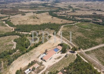 Villa Cala Sarraina, Trinità d'Agultu e Vignola - photo 12