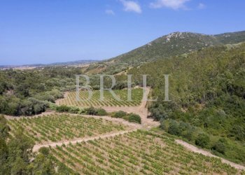 Villa Cala Sarraina, Trinità d'Agultu e Vignola - photo 16