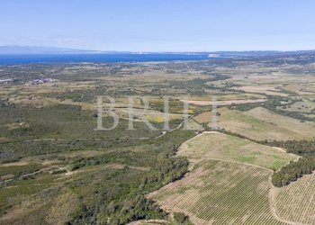 Villa Cala Sarraina, Trinità d'Agultu e Vignola - photo 18