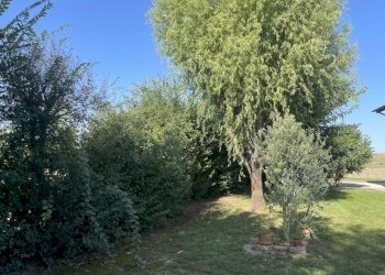 Villa Via Saletta, 28, Sala Bolognese - foto 50