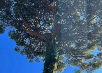 Appartamento Genova (zona Albaro) - foto 21