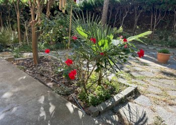 Appartamento Genova (zona Albaro) - foto 27