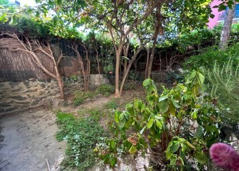 Apartment Genova (neighborhood Albaro) - photo 28
