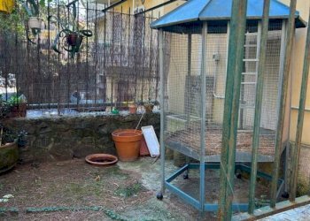 Appartamento Genova (zona Albaro) - foto 31