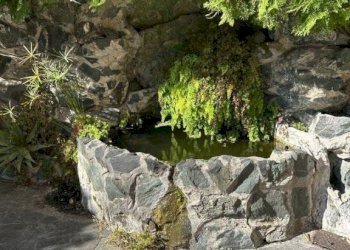 Appartamento Genova (zona Albaro) - foto 47