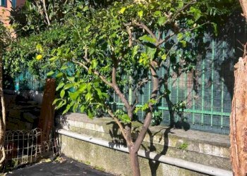 Bilocale Genova (zona Sturla) - foto 23