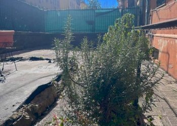 Bilocale Genova (zona Sturla) - foto 24