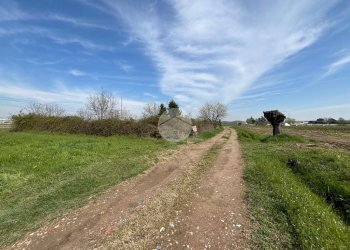Terreno agricolo Strada antica di moncalieri, None - foto 1