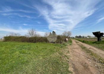 Terreno agricolo Strada antica di moncalieri, None - foto 5