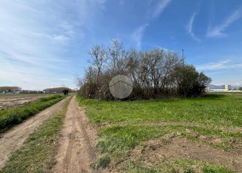 Terreno agricolo Strada antica di moncalieri, None - foto 7