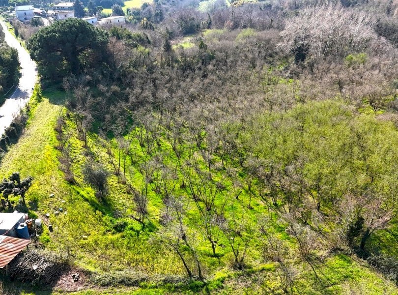 Terreno edificabile Sessa Aurunca - foto 2