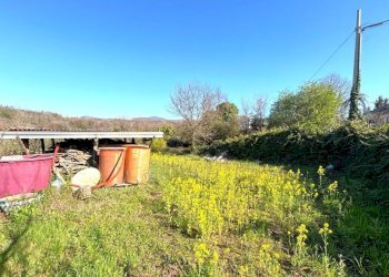 Terreno edificabile Sessa Aurunca - foto 4