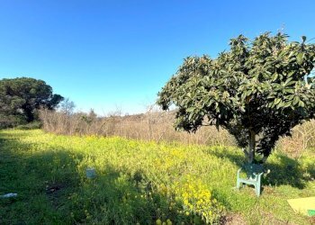 Terreno edificabile Sessa Aurunca - foto 5